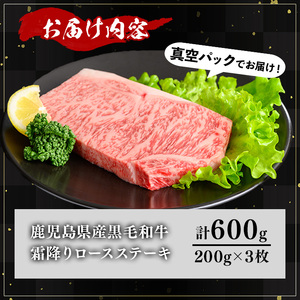 鹿児島県産 A5等級 黒毛和牛 霜降り ロース ステーキ(計600g)【KNOT】 A633-v01