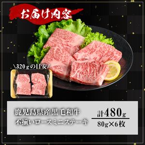 【訳あり】鹿児島県産 A5等級 黒毛和牛 不揃い ロース ミニ ステーキ(計480g)【KNOT】 A641-v01