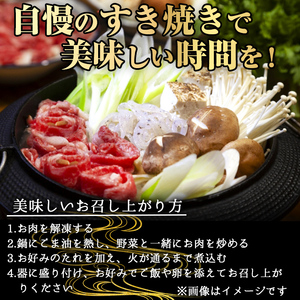 鹿児島県産 A5等級 黒毛和牛 霜降り ロースすき焼き用 (計750g)【KNOT】 B184-v01