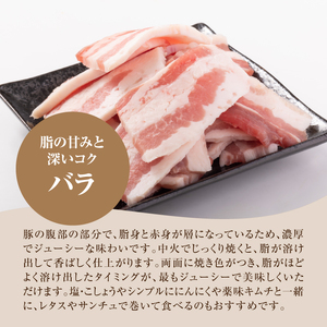 宮崎県産豚バラ焼肉 1㎏_K16_0186_1