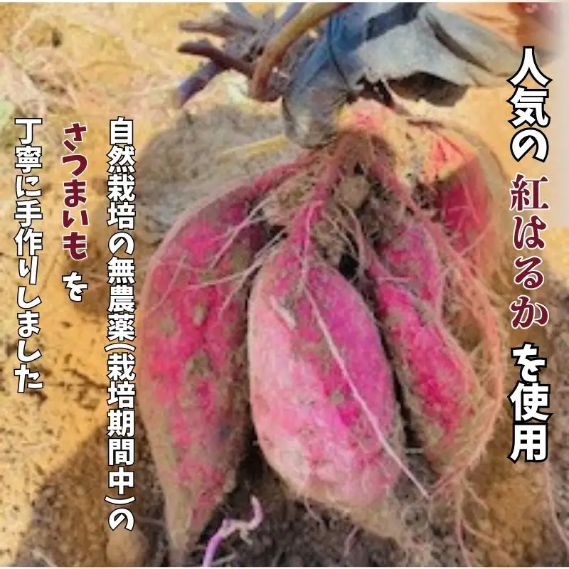 【先行予約】『販売期間限定 』干しいも　250ｇ×3袋セット　010225