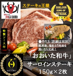 大分・別府特産肉盛り_B172-007