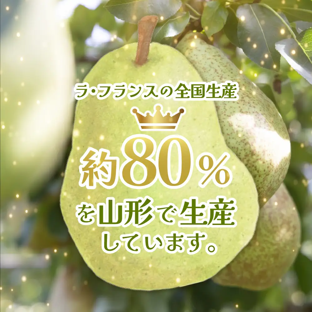 【2026年産】 洋なし 「 ラ・フランス 」 3kg ラ・フランス