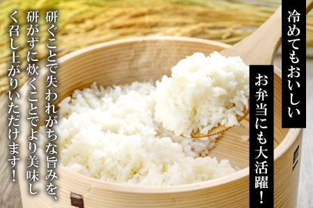 さんべ浮布米（無洗米）定期便（5kg×5回コース）【令和7年産 コシヒカリ 無洗米 5kg 5回 定期 2025年産 こしひかり 5kg×5回 合計25kg 5回定期便 特別栽培米 島根県産 大田市産 減農薬】