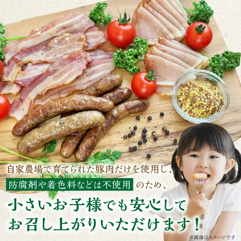 フレンズハム 手造り厳選セット ( お肉 にく ウインナー ベーコン ハム プレスハム ロースハム 生ハム ソフト サラミ 厳選 セット おつまみ 贈答 贈り物 ギフト プレゼント )【047-0004】