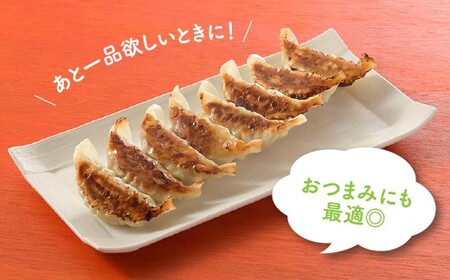 ZG199.【創業40年の老舗が誇る味わい】博多餃子４０個