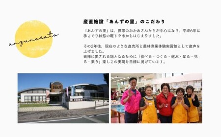 【年4回季節】旬のフルーツお楽しみ定期便★あんずの里【随時開始】[H7031]