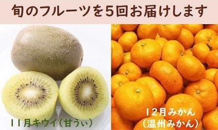 【年5回】旬のフルーツ定期便★あんずの里【随時開始】[H7032]