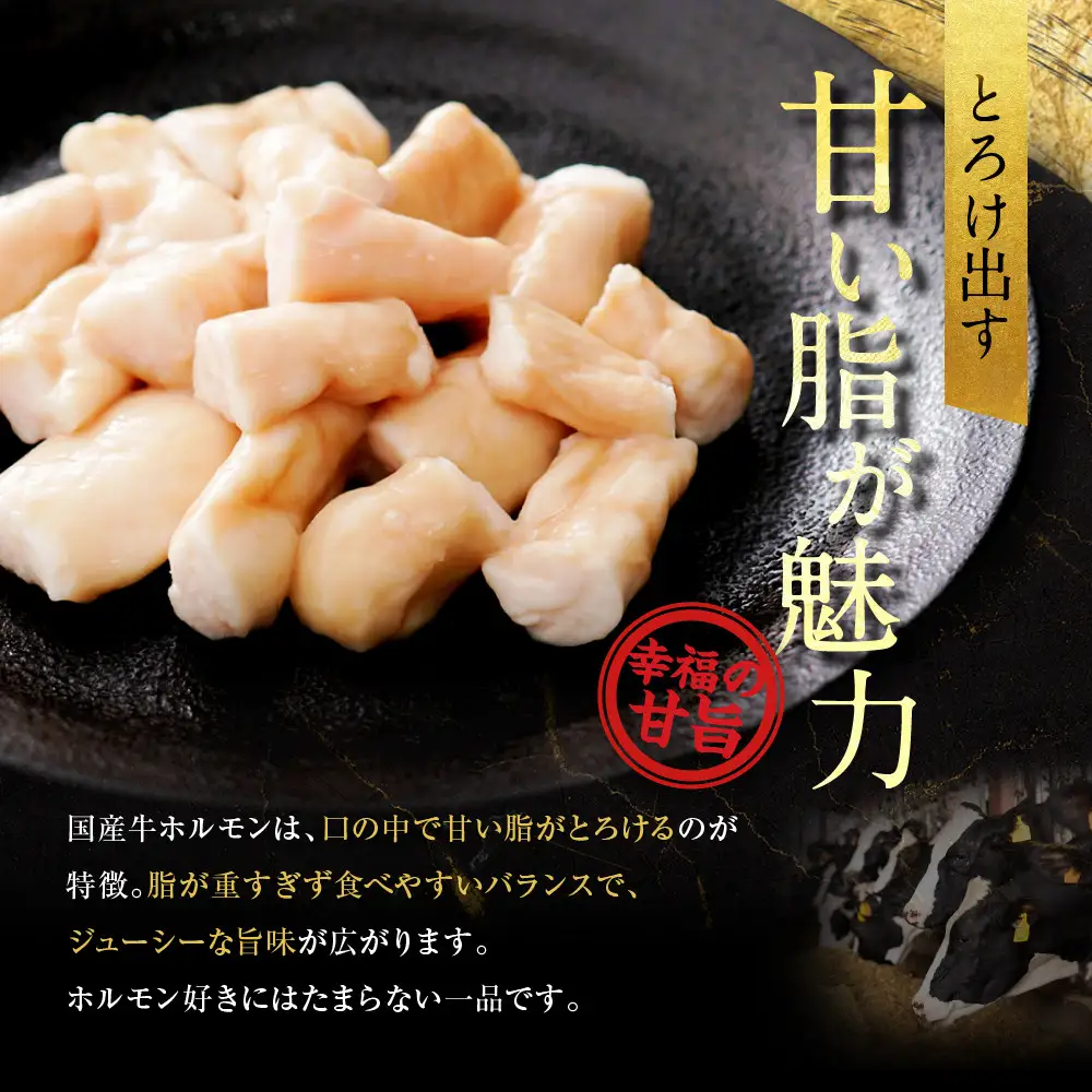 【エスイー】厳選国産牛ホルモン200ｇ×5パック 計1kg｜京都 食肉卸 自慢の肉質 ホルモン 人気セット