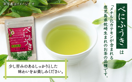 べにふうき 粉末緑茶（ スティックタイプ ） 25袋 × 1袋 K111-042_01