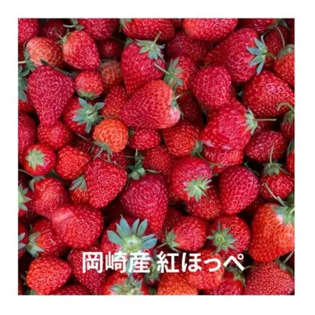 三河果実の葵ジャム「いちご」140g1本【配送不可地域：離島】【1575498】
