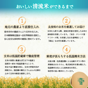 【令和7年度産】 ひとめぼれ 無洗米 10kg (5kg×2袋) 和紙袋仕様 お米 おこめ 米 コメ 白米 ご飯 ごはん おにぎり お弁当 【ライス宮城株式会社】tm298