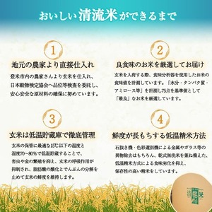 【令和7年度産】 ひとめぼれ 無洗米 30kg (5kg×6袋) 和紙袋仕様 お米 おこめ 米 コメ 白米 ご飯 ごはん おにぎり お弁当 【ライス宮城株式会社】 tm296