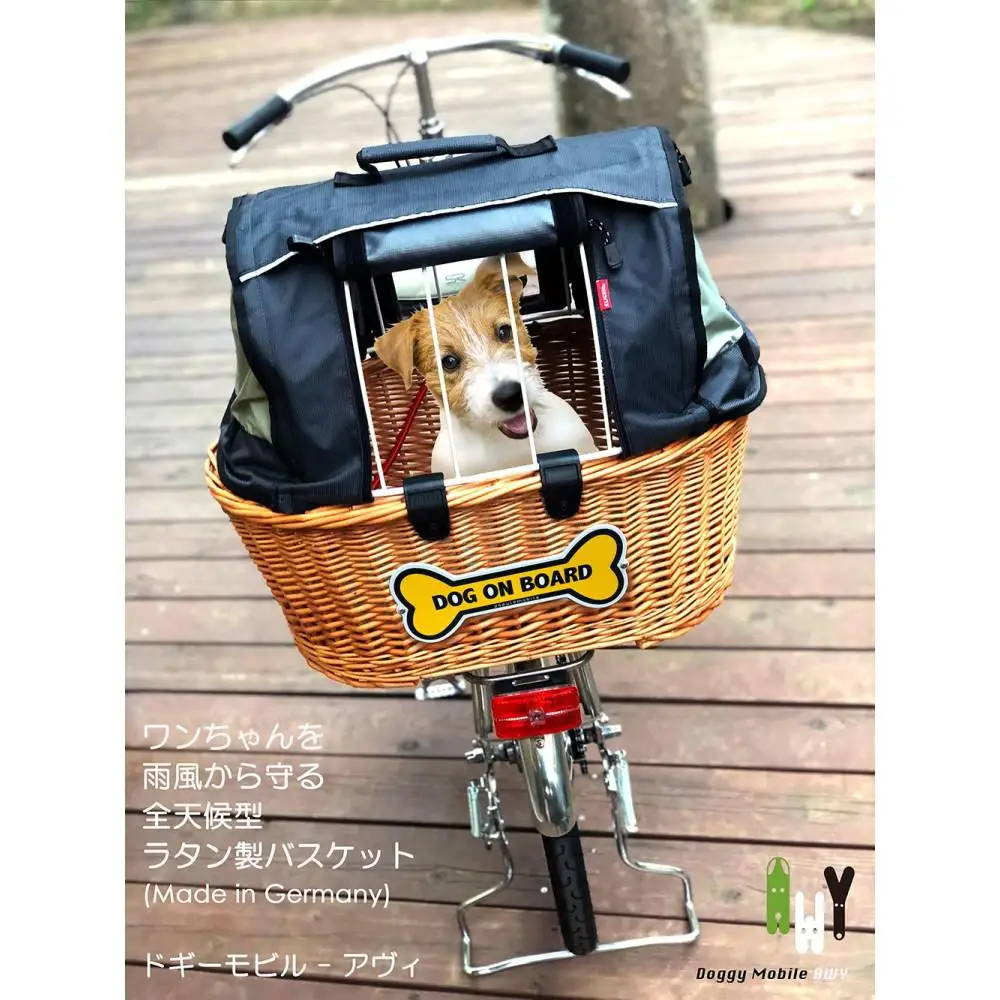 AWY (アヴィ)　20インチ　自転車