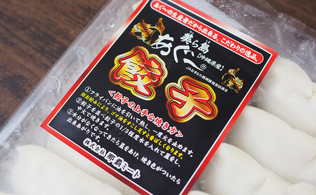 【3ヵ月定期便】　【美ら島あぐー】餃子セット1920ｇ【480g×4パック】 あぐー もっちり 沖縄 大宜味村 豚肉 小分け 国産 おつまみ こだわり ぶた アグー 加工品 おいしい 美味しい 取り寄せ 豚 肉 冷凍 まろやか 旨味