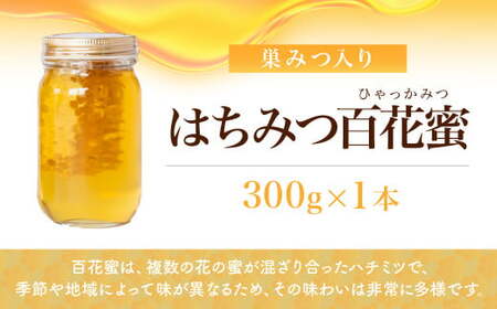 はちみつ 国産 巣みつ入り 300g×2瓶 | はちみつ 蜂蜜 根津養蜂園