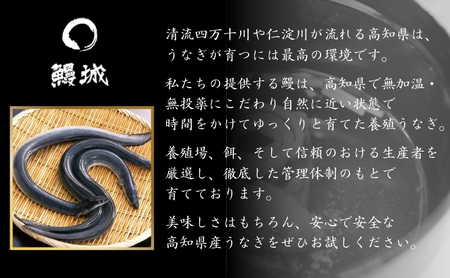鰻 国産 うなぎの蒲焼き 3尾入（特製タレ付） / 鰻城 うなぎ ウナギ 蒲焼 簡単調理 時短 小分け 電子レンジ