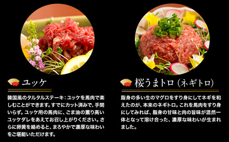 【12ヶ月定期便】プレミアム 馬刺し 460g |馬刺し