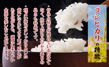 【新潟県上越市産　令和7年産】栽培期間中 農薬不使用コシヒカリ5kg 精米 米
