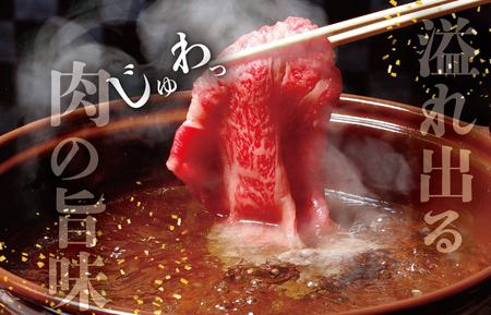 松阪牛 赤身 しゃぶしゃぶ 500g 肉 牛 牛肉 和牛 ブランド牛 高級 国産 霜降り 冷凍 ふるさと 人気 すき焼き あっさり J23