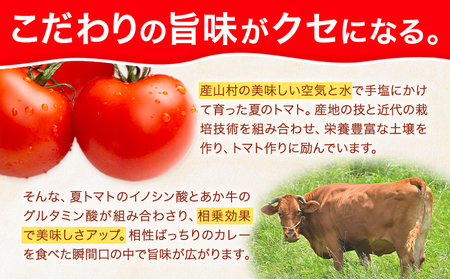 産山村・トマト・あか牛 野焼きでトマトカレー レトルトパック 4箱 各180ml 熊貴農園