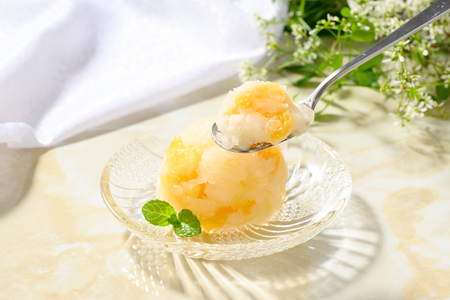因島のはっさくシャーベット(未凍結)とゼリーの詰め合わせB(シャーベット12個、ゼリー5個)
