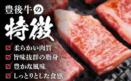 【訳あり】おおいた豊後牛 焼肉 切り落とし 500g 豊後牛 牛肉 焼肉 切り落とし 大分 冷凍 訳あり [AREI032]