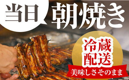 【12回定期便】朝焼きうなぎ蒲焼 4尾 / うなぎ 国産うなぎ うなぎ うなぎ蒲焼 うなぎ蒲焼き 高知県産うなぎ[ATAF091]