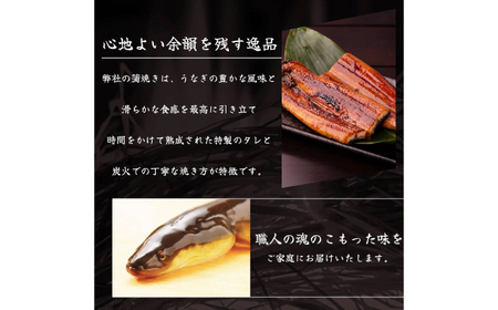 高知県産 うなぎ 長蒲焼3尾 約160g×3 (3?6人前)/ 鰻 ウナギ 土用丑の日 高知産 うなぎ 【土佐黒潮水産】[ATCQ010]