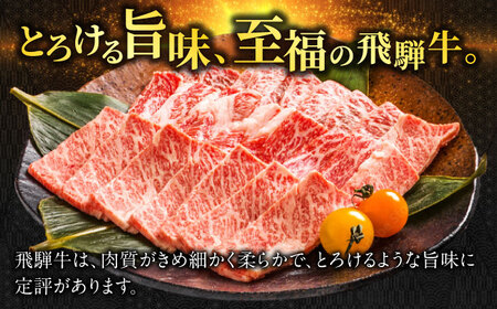 【6回定期便】飛騨牛切り落とし 1kg（250g×4P）すき焼き 焼肉 小分け 岐阜市 / 丸福商店[ANBO049]