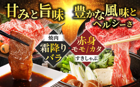 【6回定期便】 【交互定期便】 飛騨牛 ■1回目 霜降り バラ 焼肉 500g ■2回目 赤身（ モモ / カタ ）すき焼き しゃぶしゃぶ 国産 牛 肉 すきやき 赤身 赤身肉 岐阜市 / 丸福商店[ANBO052]