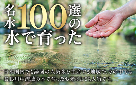 【3回定期便】【R7年産】 白米ハツシモ 10kg 白米 10kg 白米定期便[ANCU008]