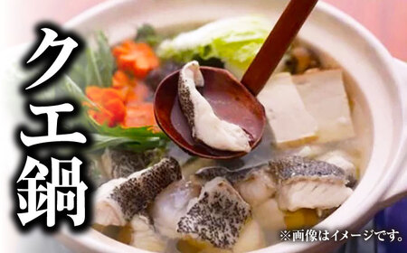【全3回定期便】【 対馬産 】 天然 クエ 1kg（500g×2）（切り身） 鍋 水炊き 海鮮 クエ 天然クエ [WAB024]