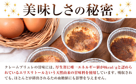 低糖質 濃厚 クレームブリュレ 5種 バラエティセット 5個 