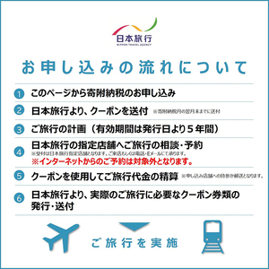 K-339 鹿児島県霧島市 日本旅行 地域限定旅行クーポン(30,000円分)【日本旅行】霧島市 チケット 旅行 宿泊券 ホテル 観光 旅行 旅行券 交通費 体験 宿泊 夏休み 冬休み 家族旅行 一人旅 トラベルクーポン 霧島