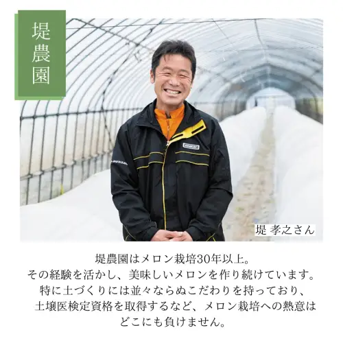 【先行予約】メロン タカミメロン 秀品 1箱 2玉 八千代町産