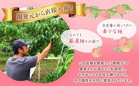 ◆2026年夏発送◆紅国見～産直・桃・約5kg～ ※離島への配送不可 ※2026年7月上旬～7月下旬頃に順次発送予定 ｜ 先行予約 予約 数量限定 桃 もも モモ 果物 くだもの フルーツ 詰め合わせ 福島 ふくしま