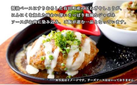 幸せ有っ田け！ジャポネソースふわふわ煮込みハンバーグ 230g×4個セット【西洋食堂信】冷凍ハンバーグ ハンバーグお取り寄せ 温めるだけ 大人気ハンバーグ ギフト肉 N16-6