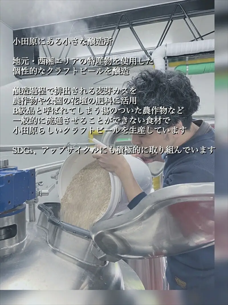 季節限定　小田原クラフトビール3種×各2本　【定期便：3カ月に1回 計4回お届け】   クラフトビール・地ビール【 ビール お酒 神奈川県 小田原市 】