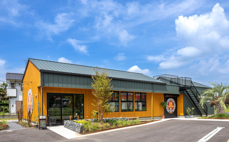 クラフトビール 12本 つくばブルワリー ビール