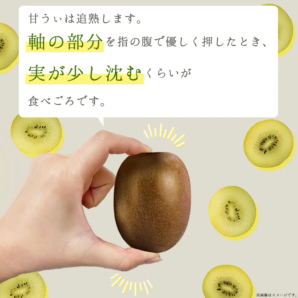 福岡県産 キウイ 甘うぃ 約1.4kg (9玉)  キウイ キウイフルーツ  kiwi 果物 フルーツ 送料無料 3W25