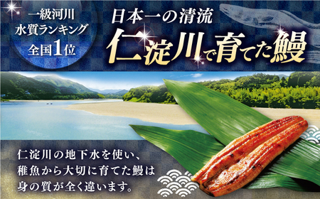 【3回定期便】三代目天の鰻蒲焼 2尾 / 鰻 鰻蒲焼 鰻蒲焼き 鰻 鰻蒲焼 鰻蒲焼き[ATAD059]
