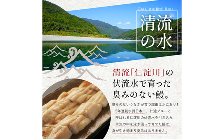 【最速発送】鰻 完全無投薬鰻 仁淀川鰻蒲焼き  中 (約150g×4尾 )  / 鰻 鰻蒲焼 鰻蒲焼き [ATBE019]　スピード 最短 最速 発送