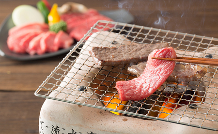 三田産黒毛和牛 三田和牛焼肉　400ｇ　和牛 牛肉 ブランド牛 肉 ギフト お祝い [兵庫県 三田市 3d28bae130006]