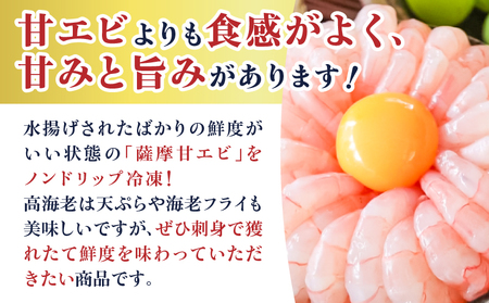 鹿児島産 タカエビ 600g 6人前 K100-011 魚 冷凍
