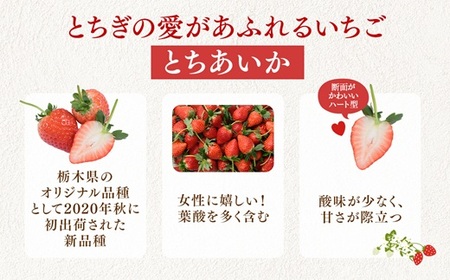 【先行予約】いちご 270g 4パック (1月発送) | いちご ※2027年1月～発送
