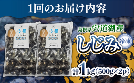 しじみ 【全3回定期便】超希少！特大粒プレミアムサイズ 宍道湖産冷凍大和しじみ 特大粒500g×2袋 島根県松江市/平野缶詰有限会社[ALBZ042] しじみ しじみ