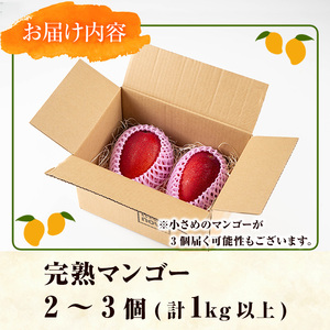 マンゴー ＜先行予約・数量限定＞ 完熟 マンゴー 計1kg以上 東串良物産館ルピノンの里 0145910a