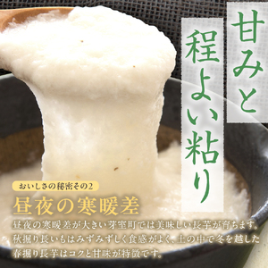 北海道十勝芽室町 ファーム・ミリオンの長芋【土付き】　10㎏　長芋 長いも  とろろ 芋 北海道 十勝 芽室町 送料無料 お取り寄せ me016-013c