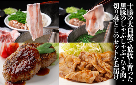 十勝鹿追町産　自然放牧黒豚　圧巻の豚肉　しゃぶしゃぶ肉と切り落とし＆ひき肉のセット （2100ｇ）定期便12回　SKN016 【 北海道  送料無料 】 